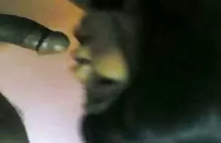 XXX લેવામાં એક વિદેશી છે અને દર્શાવે શહેર fucked ઘરે
