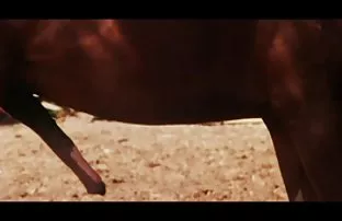 XXX વ્યક્તિગત છોકરી ના મોઢા માં નાખી