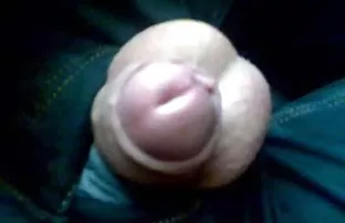 XXX Licosa saddled અન્ય પ્રેમી